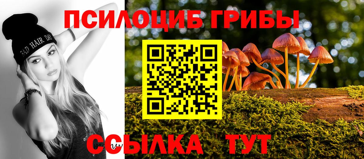 Псилоцибиновые грибы Cubensis  Вход с VPN  Псилоцибиновые грибы MAGIC MUSHROOMS  Ейск 